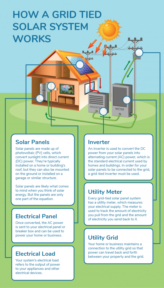 Grid Tied Solar System Infographic Grid Tied Solar System Infographic