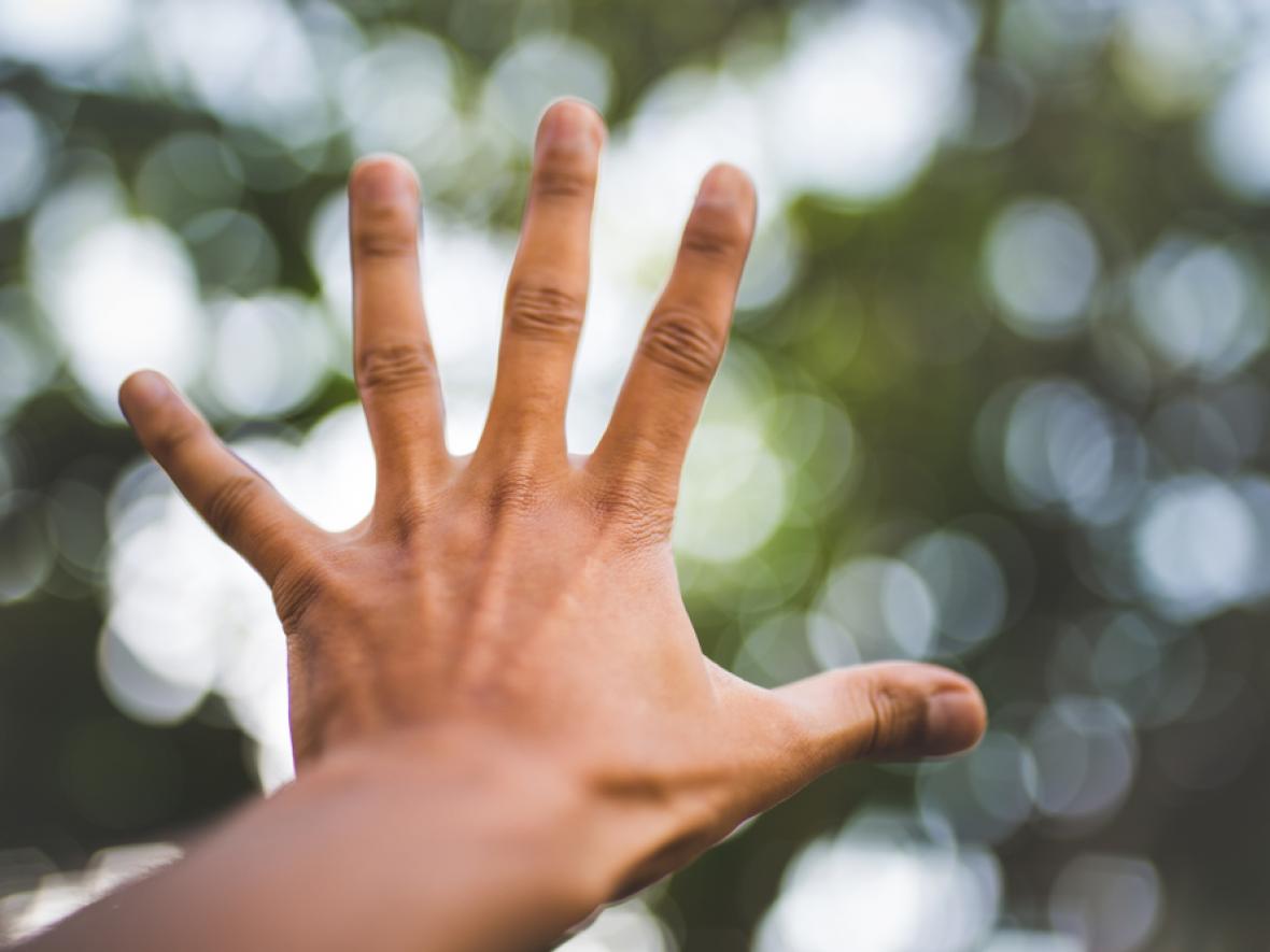 hand outstretched against blurry trees background