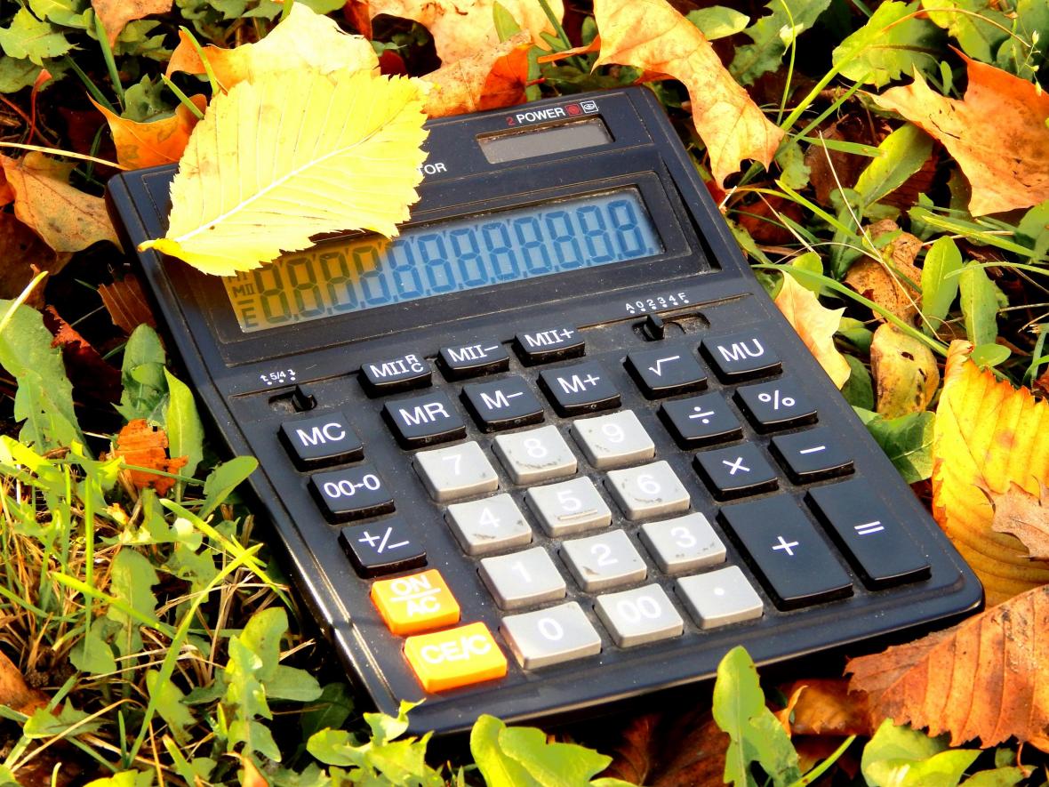 solar powered calculator in a pile of fall leaves