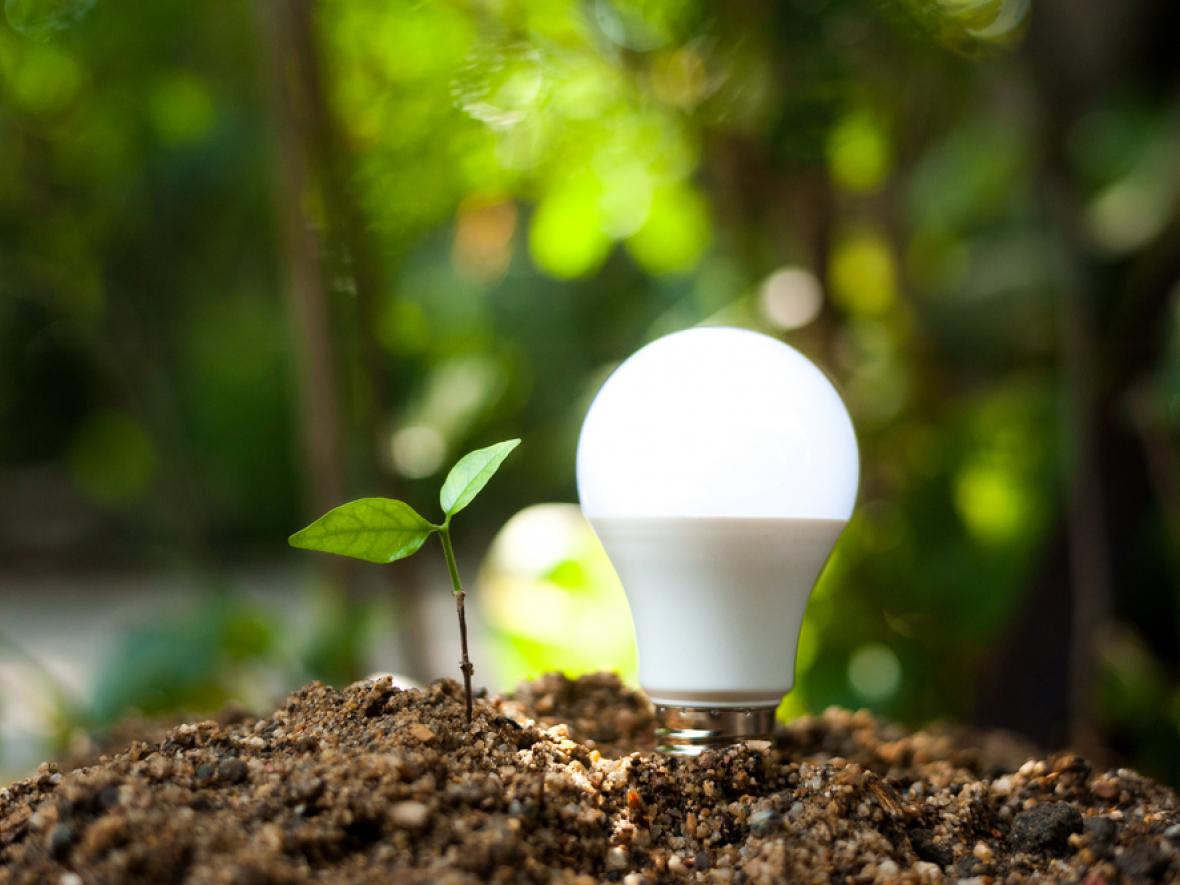 led light bulb in dirt next to green seedling in dirt mound