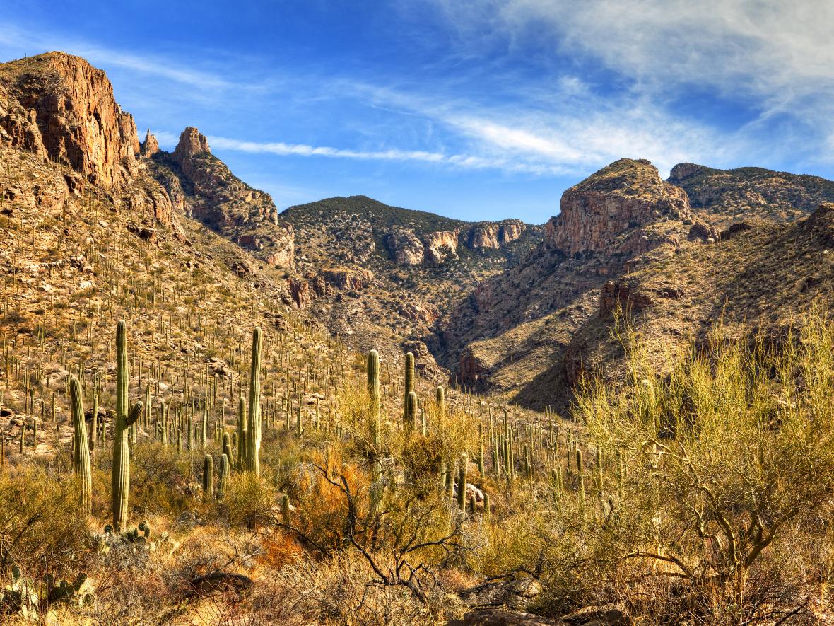 Oro Valley