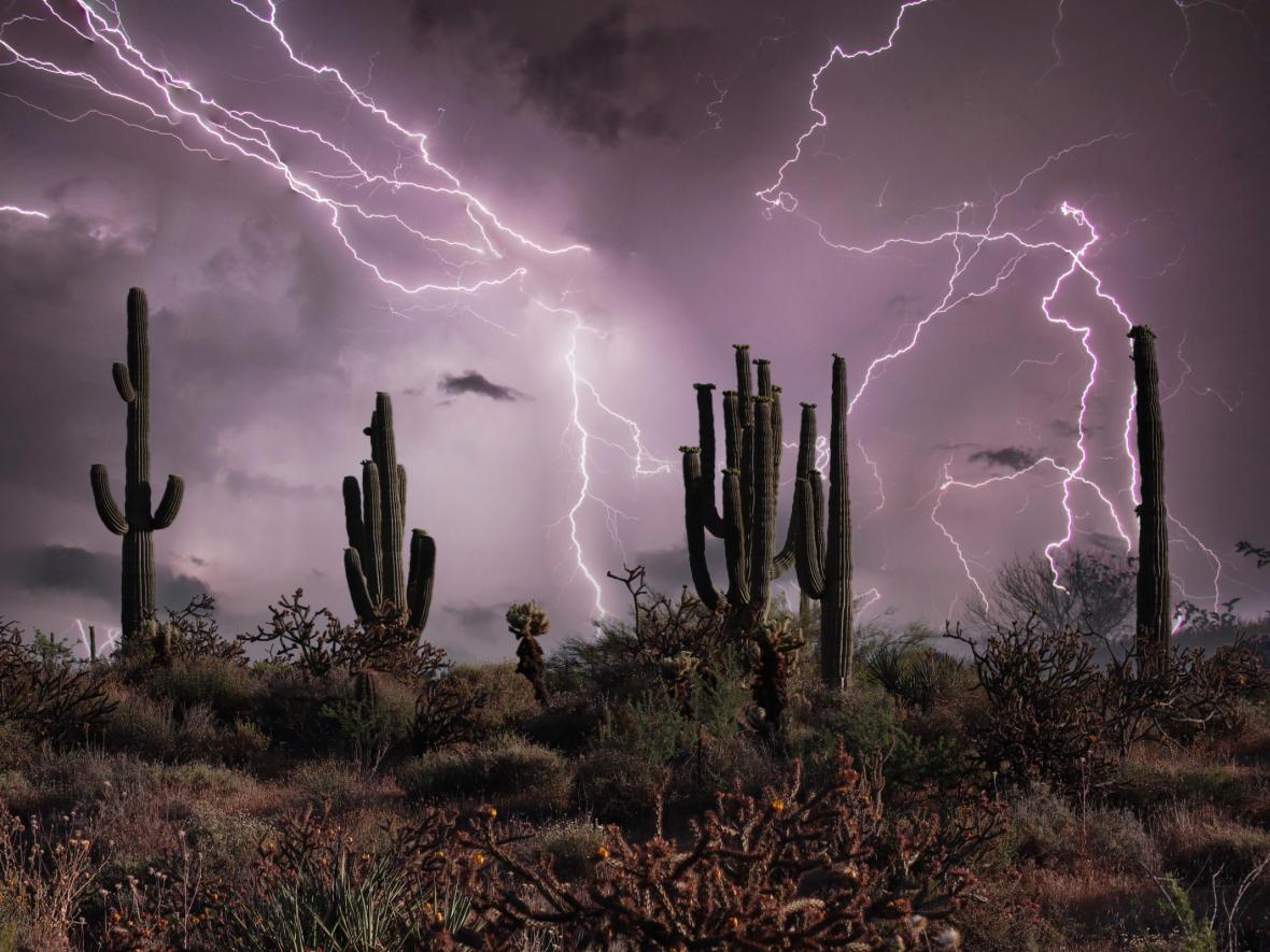 Storm in Arizona over cacti and purple sky